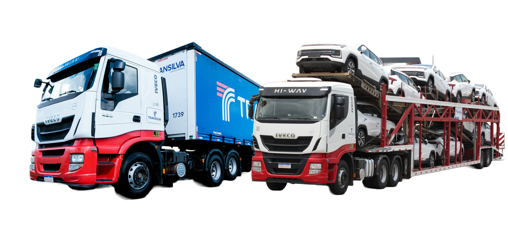 Dois caminhões IVECO da frota Transilva, incluindo cegonheira